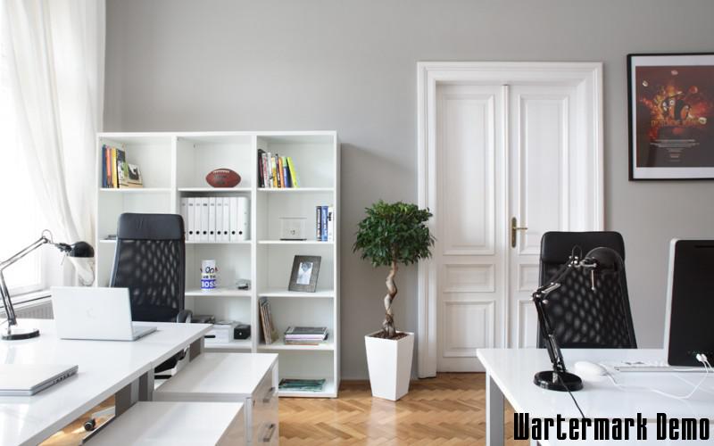 Office to rent - Image# 2
